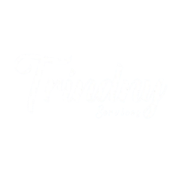 TRINDNY Logo
